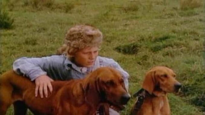 Where The Red Fern Grows Boy Dogs Movie Pic