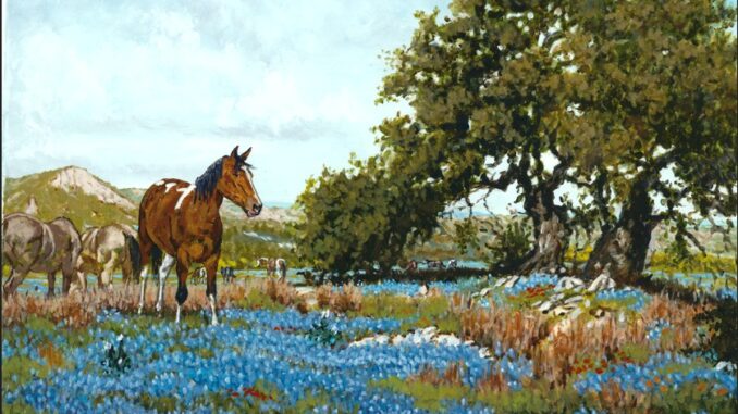 Wyatt Blue Bonnett Valley