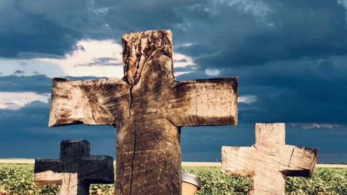 Matt's Crosses 2019